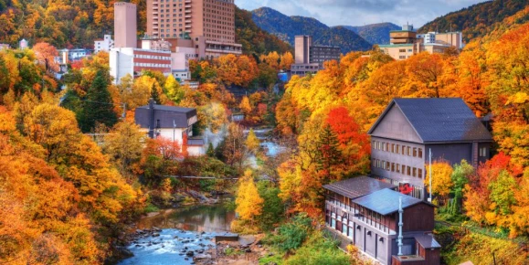 Brilliant color in Hokkaido