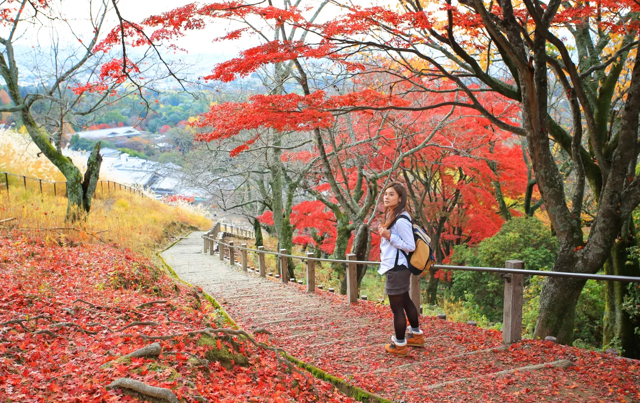 Wandering through colorful Japan