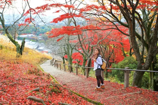 Wandering through colorful Japan
