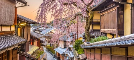 Cherry blossoms in historic Kyoto