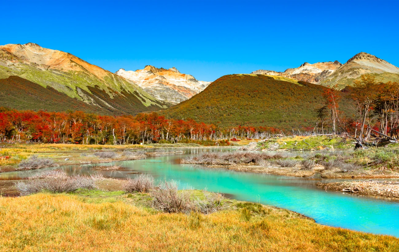 Brilliant autumn colors in Tierra Del Fuego