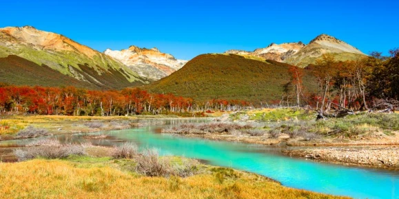 Brilliant autumn colors in Tierra Del Fuego