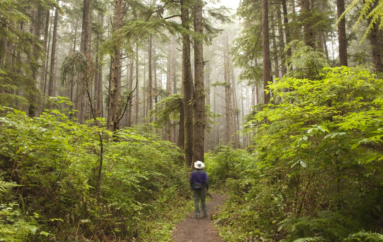 Explore the lush forests of the Pacific Northwest