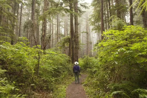 Explore the lush forests of the Pacific Northwest