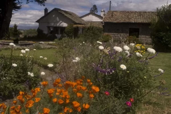 Relax in the beautiful gardens