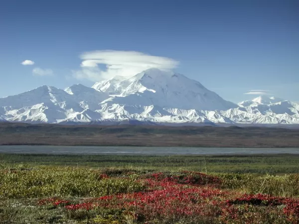 Denali in autumn, with fireweed on the tundra