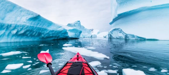 Kayaking glassy waters around incredible icebergs