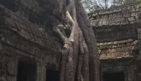 Ta Prohm, Angkor Archaeological Park, Cambodia
