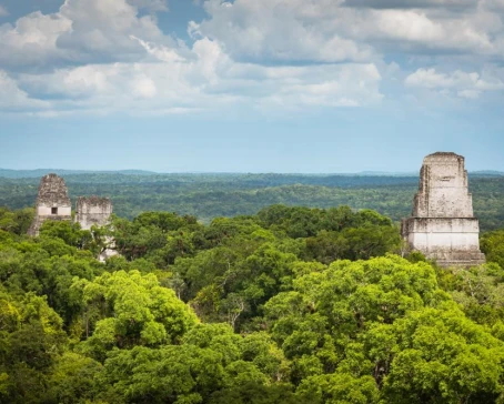 The view from Tikal ruins