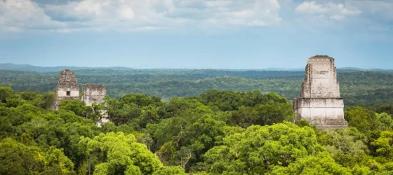 The view from Tikal ruins