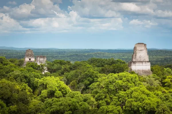 The view from Tikal ruins