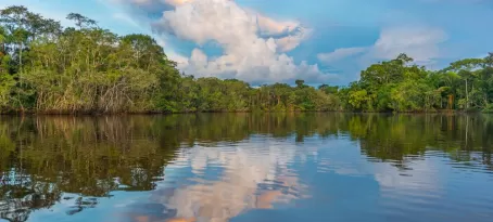 Sunset over the still waters of the Amazon