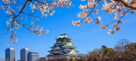 Cherry blossoms frame Osaka castle