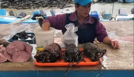Puerto Ayora - Fish Market
