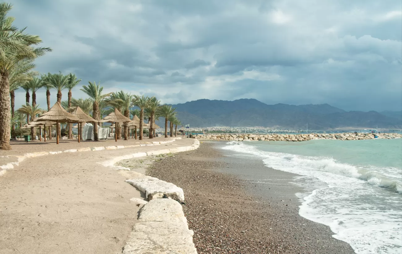 Relax on the shores of the Red Sea