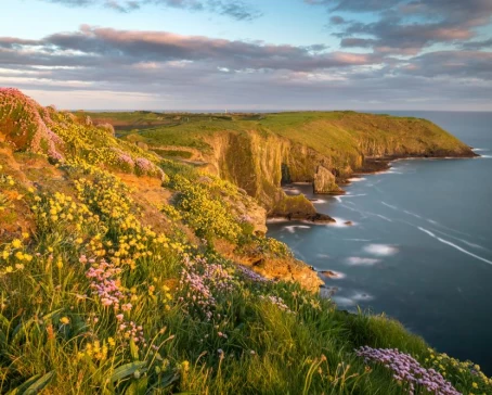 Golden light along the cliffs of the Irish coast