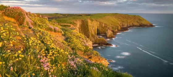 Golden light along the cliffs of the Irish coast