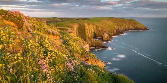 Golden light along the cliffs of the Irish coast