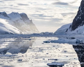 Mirror-smooth waters in the Lemaire Channel