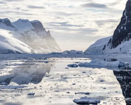 Mirror-smooth waters in the Lemaire Channel