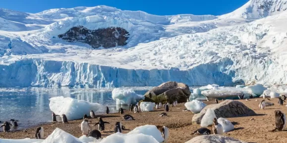 Penguins on the shores of Antarctica