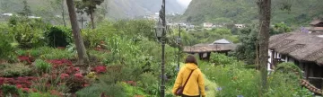 Wandering a trail in Banos, Ecuador