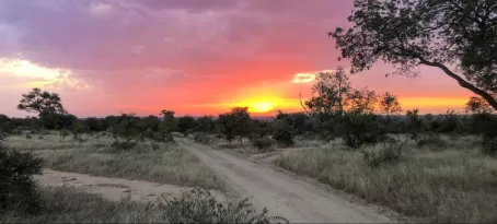 Beautiful sunset