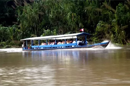 A motorized canoe will take you to and from the Posada Amazonas