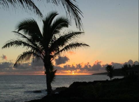 Hawaii!