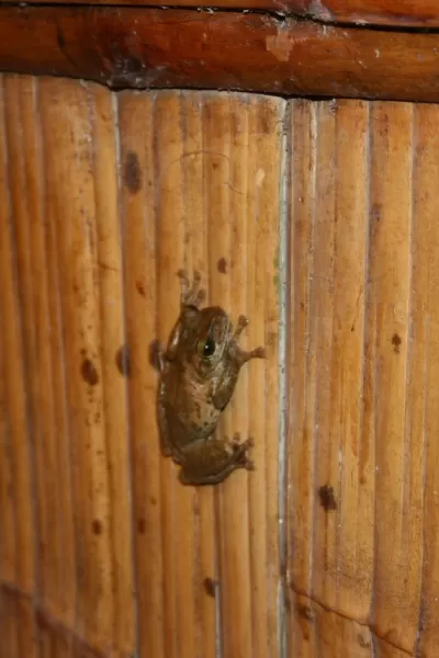 Just hopping by