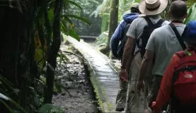 tackling the Amazon