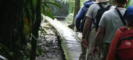 tackling the Amazon