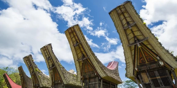 Learn about the history and culture of Sulawesi