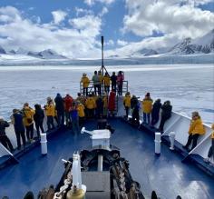 Searching for polar bears