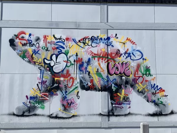 Polar bear graffiti in Svalbard