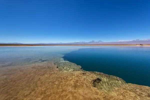 Clear waters of Cejar lagoon
