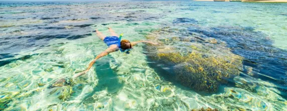 Explore the coral reefs