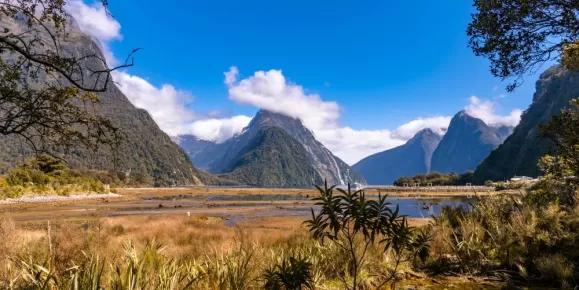 Explore the stunning Milford Sound