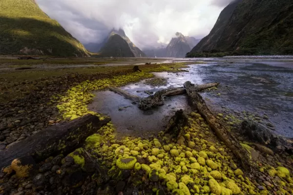 The beautiful Milford Sound