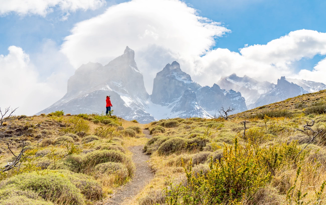 Trekking in Patagonia in view of the iconic horns