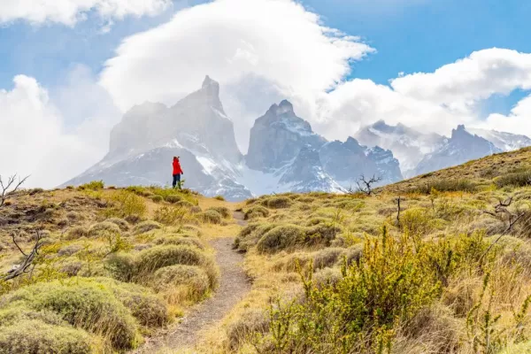 Trekking in Patagonia in view of the iconic horns