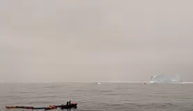 Kayakers on calm seas