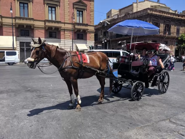 Carriage ride in Palermo