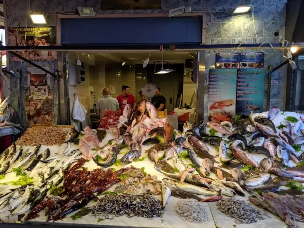 Fish at Capo Market