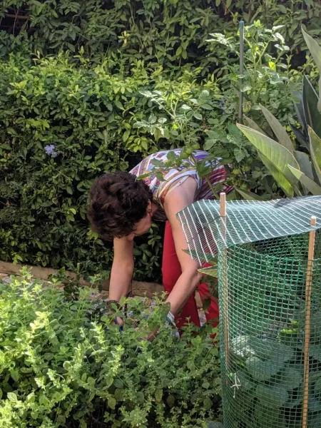 Duchess picking herbs for cooking class, Palermo