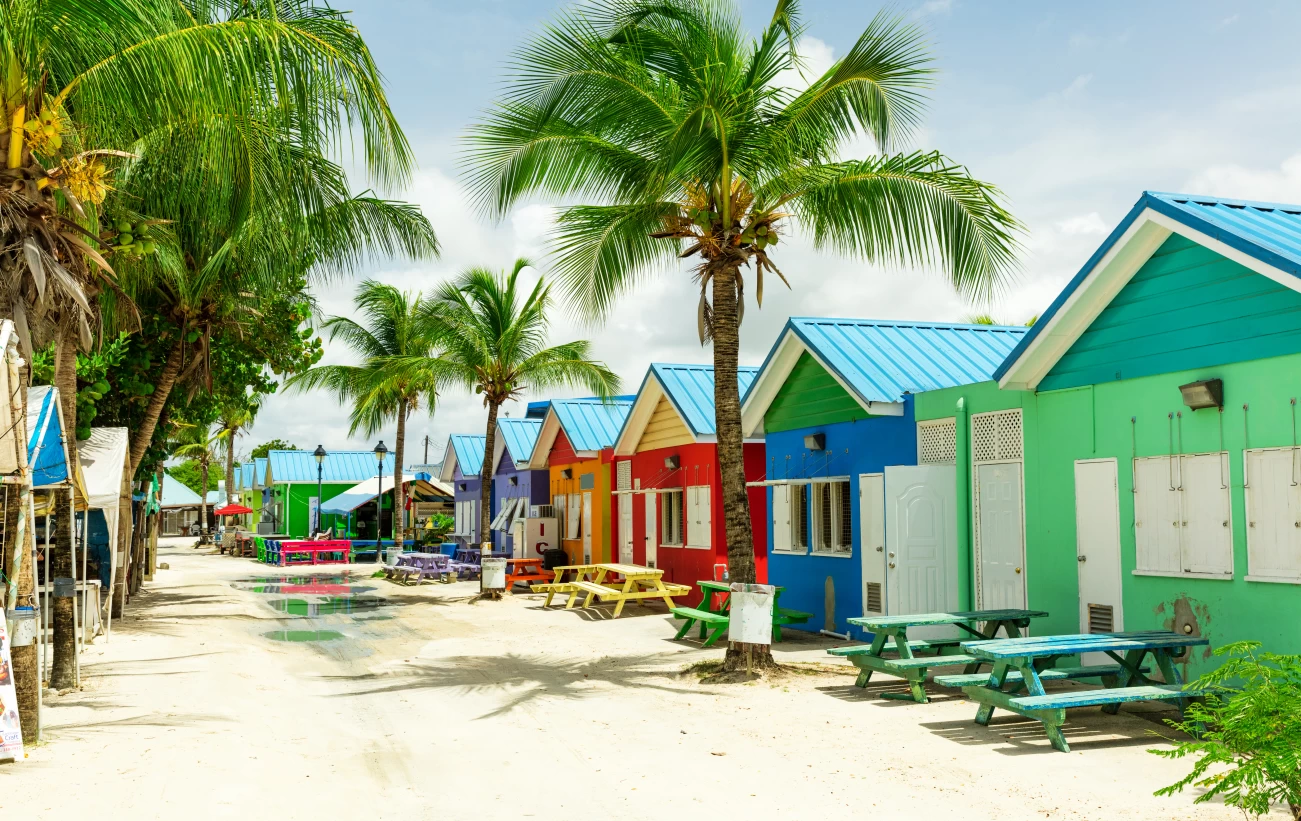 Take in the sights, sounds, and colors of Barbados