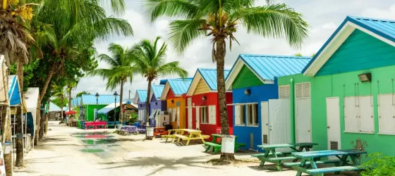 Take in the sights, sounds, and colors of Barbados