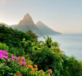 Enjoy the natural beauty of the Caribbean
