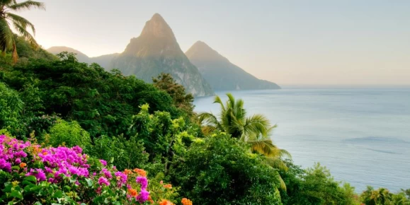 Enjoy the natural beauty of the Caribbean