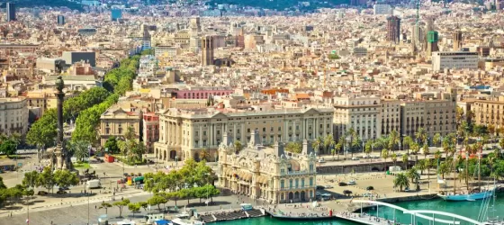 Get to know vibrant Barcelona